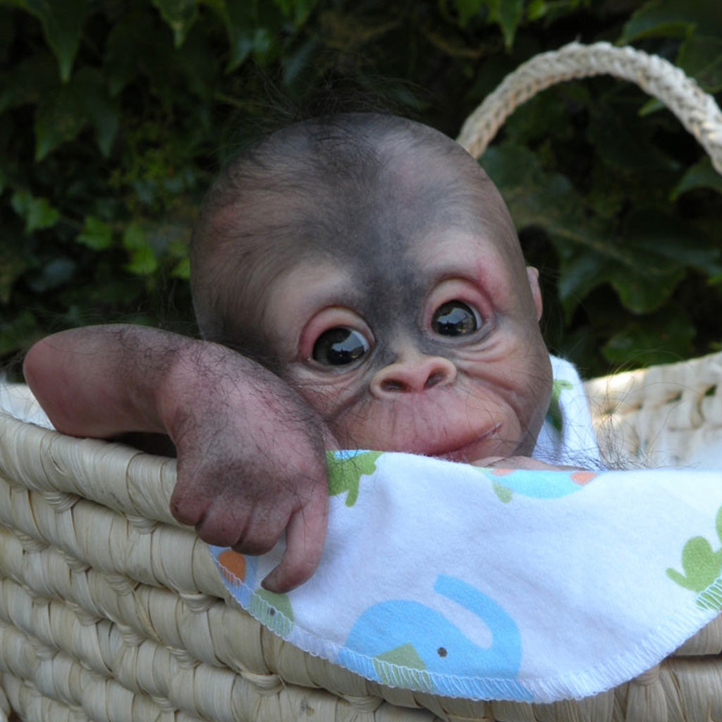 reborn monkey doll