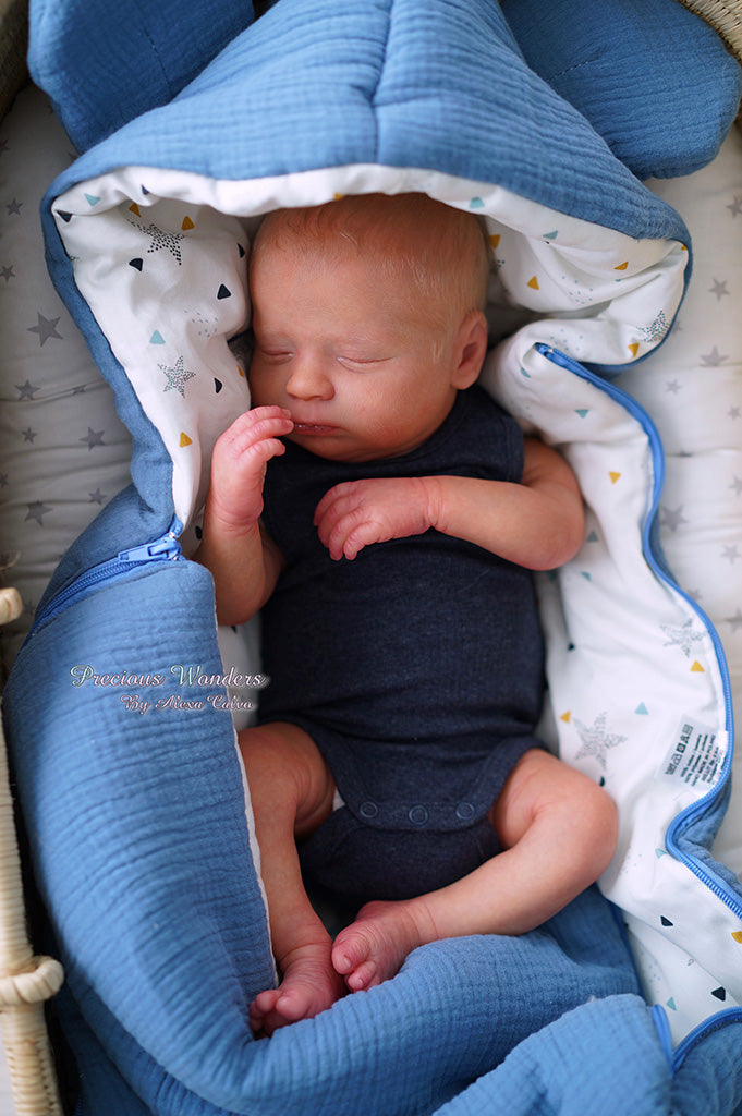 canon asleep - Bountiful Baby (DP Creations LLC)