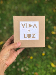 Hand holding Vida + Luz box