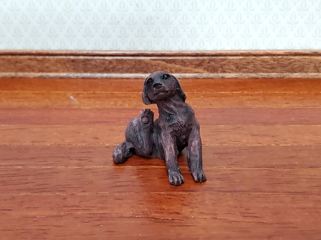 https://cdn.shopify.com/s/files/1/0001/9025/1052/products/dollhouse-puppy-dog-small-brown-scratching-ear-miniature-pet-cast-resin-835391.jpg?v=1686418209&width=1080