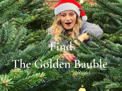 Girl wearing santa hat, finding a golden bauble within a Christmas tree