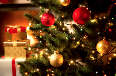 Christmas Tree Trends of 2021: Keep it Trendy or Traditional?