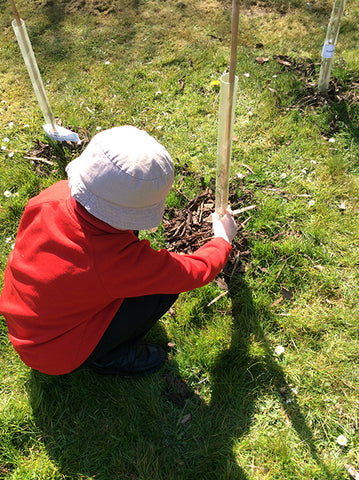 Young Tree Planters at Work