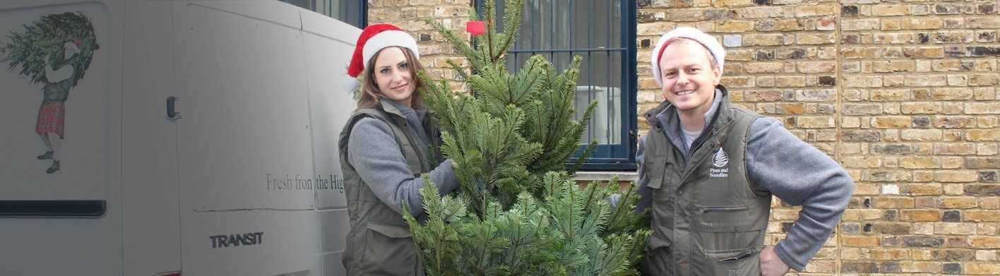 christmas tree delivery london