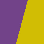 Purple and yellow button product finder