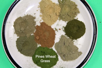 Compare Pines with Other Cereal Grass products