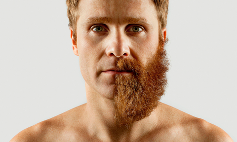 6 Most Popular Beard Styles That Will Make Even Clean Shaven Men Want To  Grow A Beard