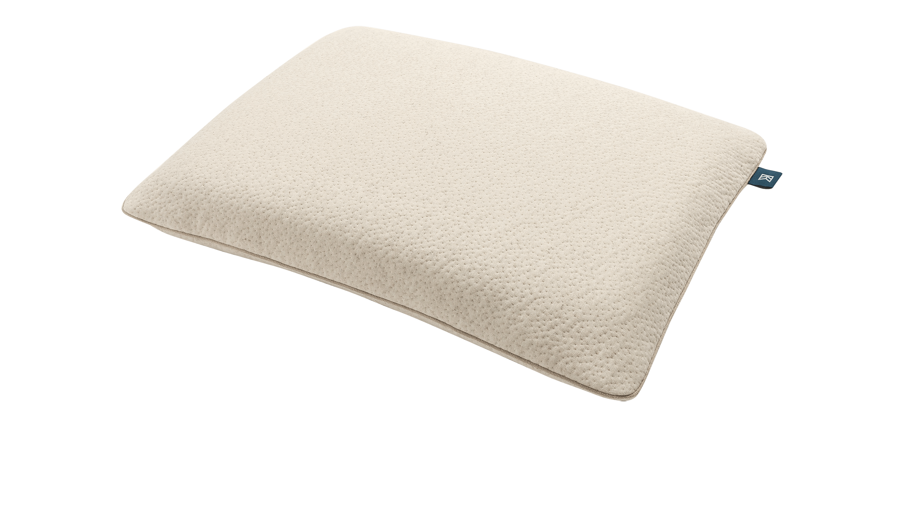 Tea Leaf Traditional Pillow Review