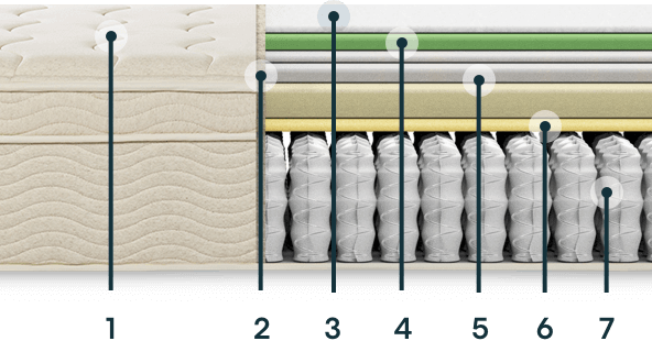 What's in your mattress image