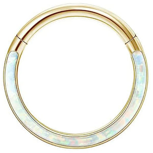 Luxurious 316L Surgical Steel Seamless Hoop - Nose, Ear+ (6 Styles) - LaurenNichole 