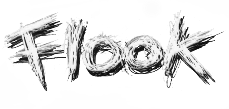 Flook logo