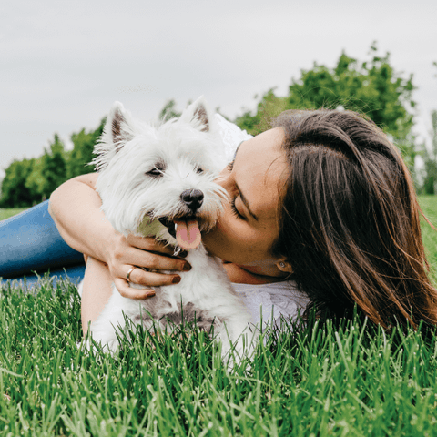 happy_dog