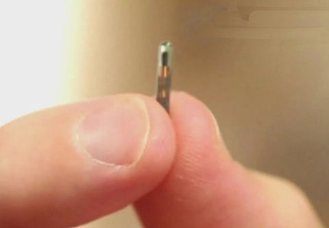 microchips size