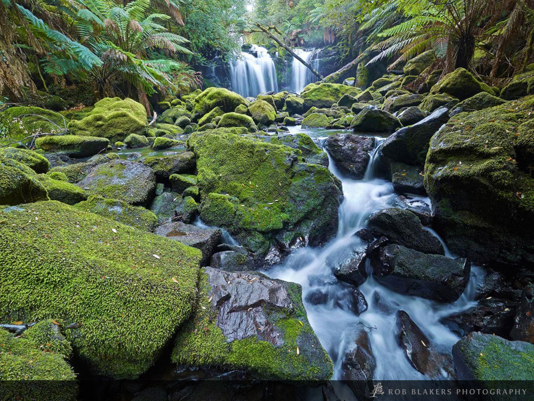 TR57 :: Huskisson River catchment, Tarkine