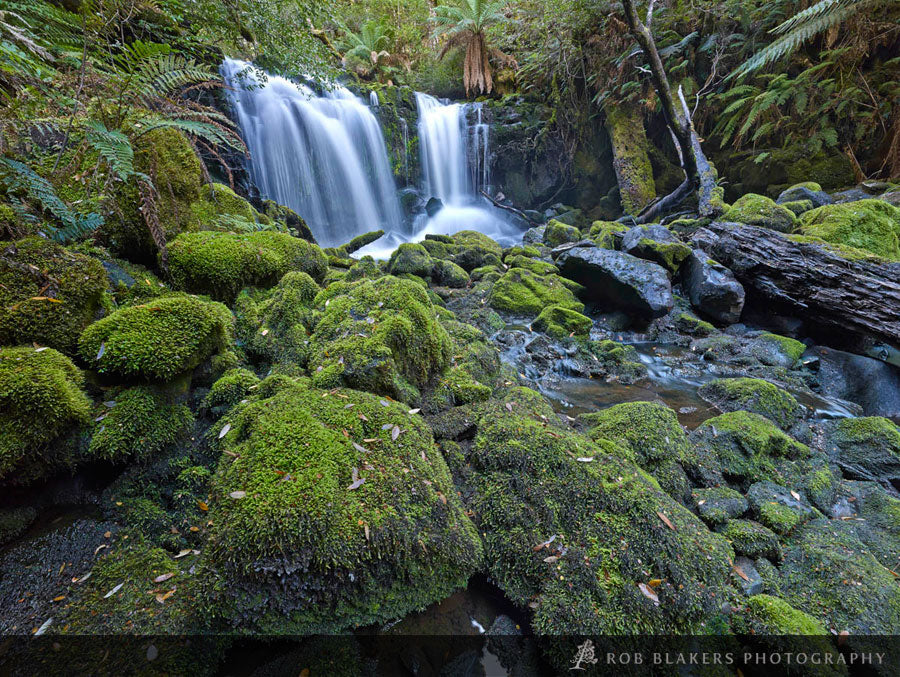 TR63 :: Huskisson catchment, Tarkine 2