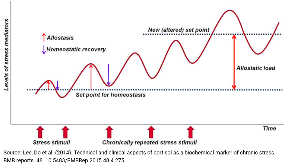 when do overuse or overtraining injuries occur?: graph of the interplay between homeostasis and allostasis