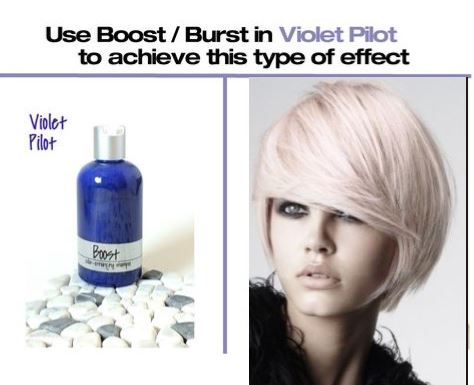 Violet Pilot - Killerstrands hair Clinic