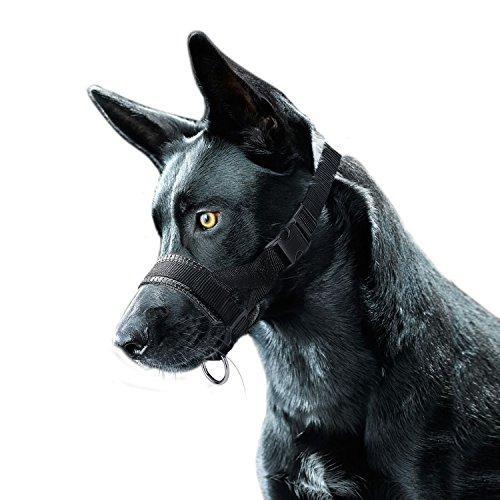 muzzles for dogs to prevent chewing