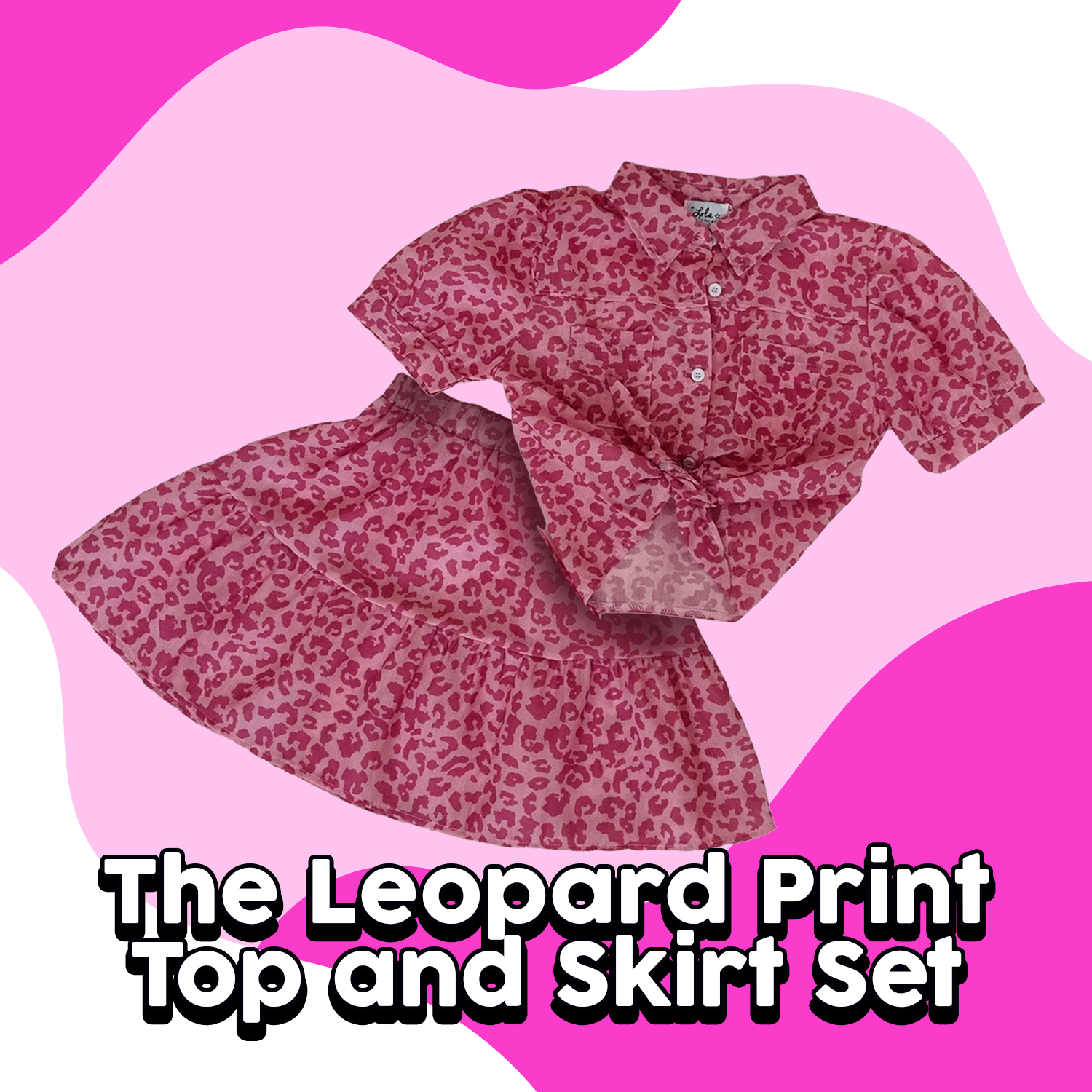 The Leopard Print Top and Skirt Set