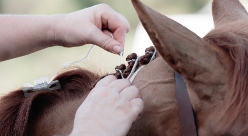 How To Braid Your Horse For The A-Circuit - Equestrian Stylist