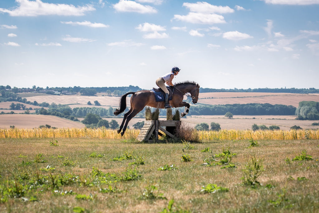 How to handle and educate vicious horses. PART FOURTH. AGES OF