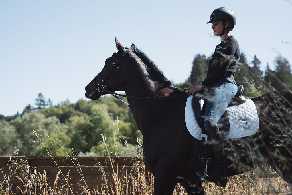 Is it safe to continue to horseback ride (+jump) when pregnant (13 weeks)?  - Quora
