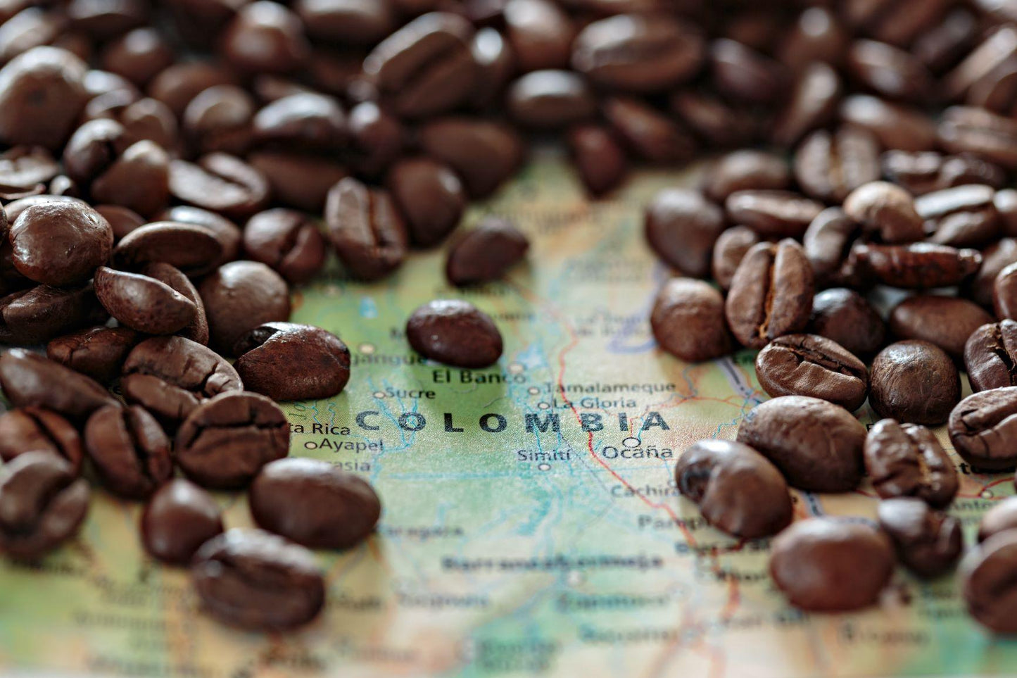 6 lbs. Colombian Santa Barbara Excelso 15/16 Fresh Medium Roast 100% Arabica Coffee Beans - RhoadsRoast Coffees & Importers