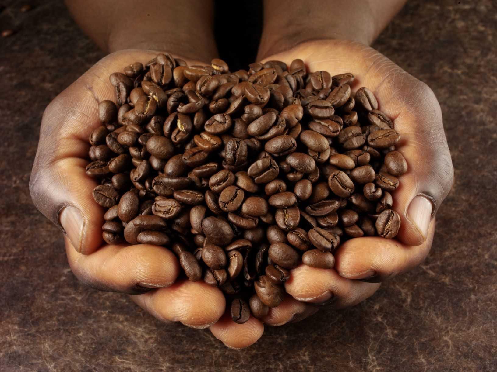 Ethiopian Sidamo Guji Natural Grade 3 100% Arabica Fresh Roasted Coffee Beans: Smooth, Lingering Taste! - RhoadsRoast Coffees & Importers