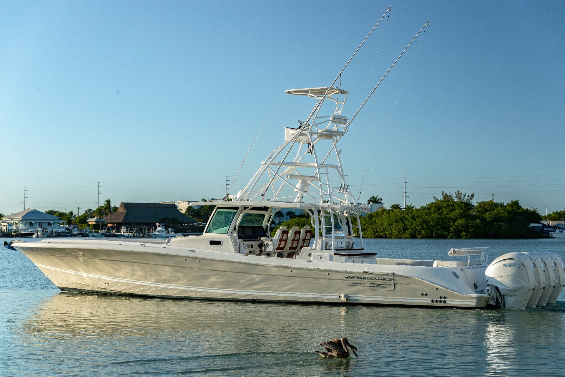 newport ri yacht charters