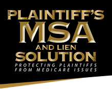 Plaintiff's MSA and Lien Solution logo