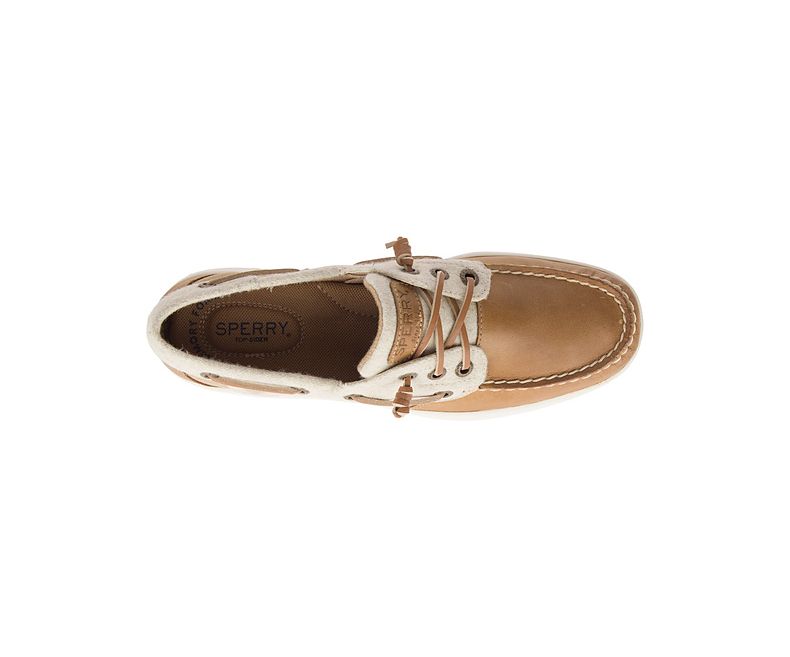 sperry rosefish taupe