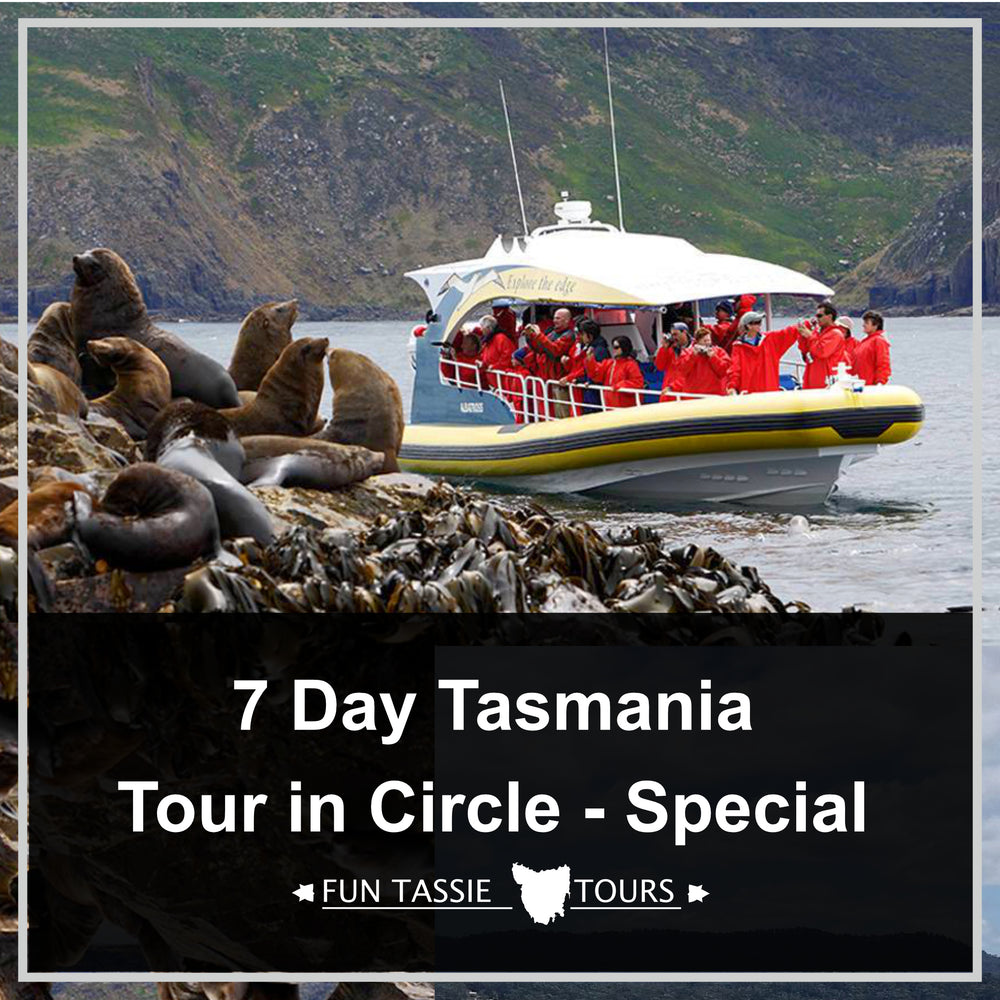 tassie tours tasmania reviews
