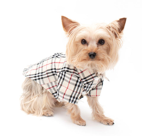 burberry dog shirt