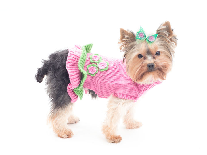 ladies dog sweater