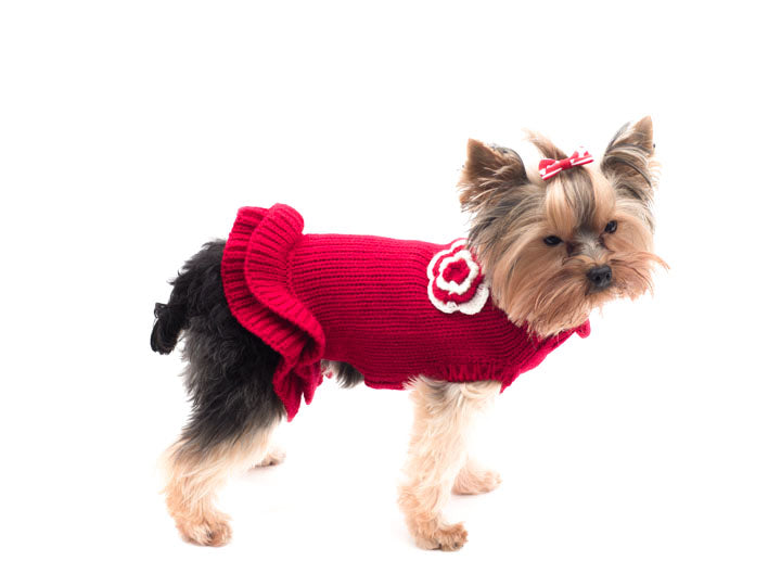 dog sweater dress