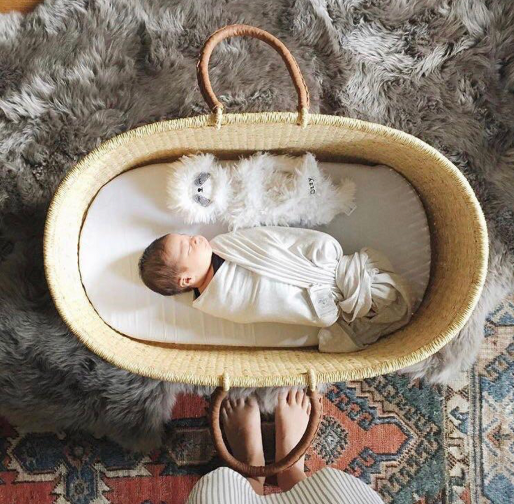 moses basket that fits snuggle me