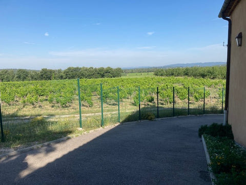 View From Vineyard Office at Chateau Beaulieu