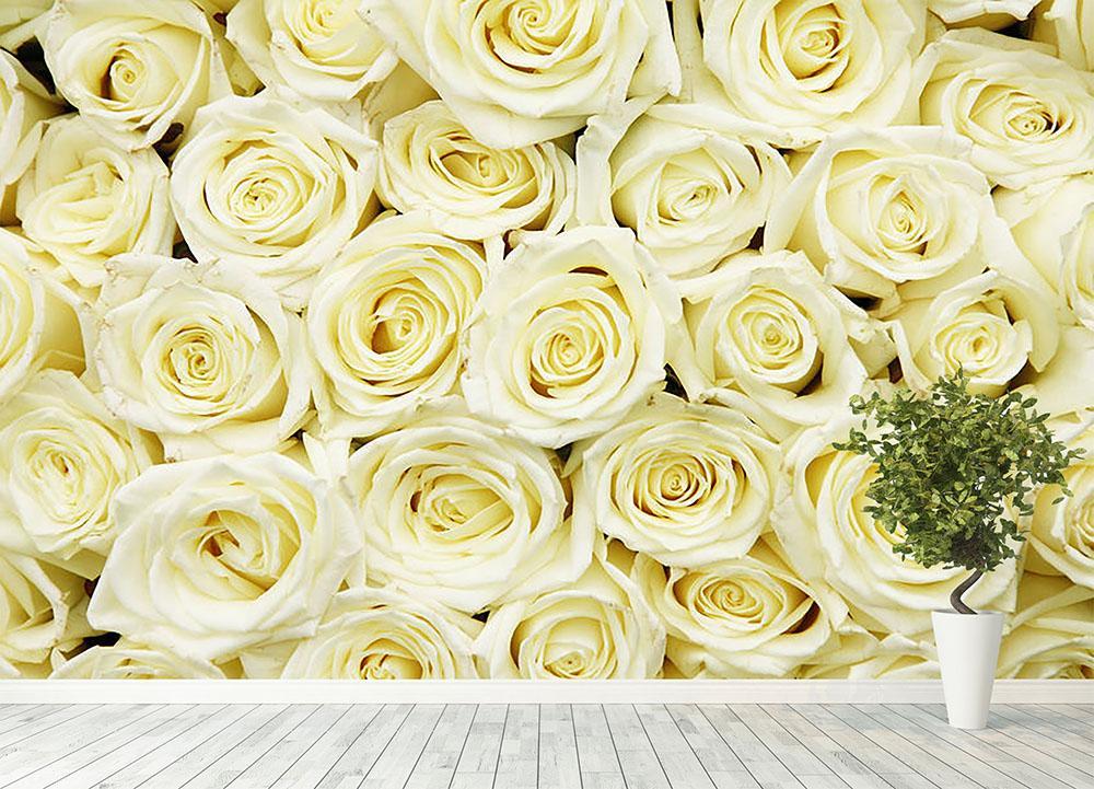 Huge Bouquet Of White Roses Wall Mural Wallpaper Canvas Art Rocks