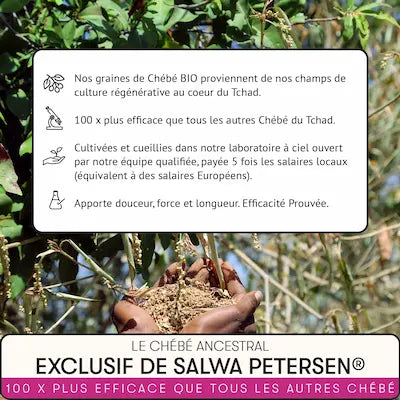 Soins Cheveux Salwa Petersen formulés avec une variété unique de graines anciennes et 100 x plus concentrées de Chébé BIO. Filière 100% propriétaire et éthique en champs de culture régénérative au Tchad.
