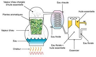 L'huile Cosmétique Dans Un Récipient Avec Une Pipette Se Trouve Parmi Les  Pierres. Huile Essentielle Pour L'aromathérapie. Le Beige Est La Couleur  Naturelle De La Composition Et Les Pierres Sont De Couleur