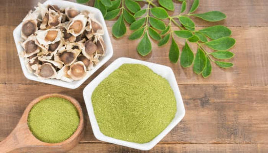 Moringa : ses propriétés et bienfaits pour les cheveux et pour la peau | Diouda