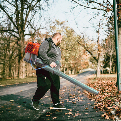 best gas leaf blower