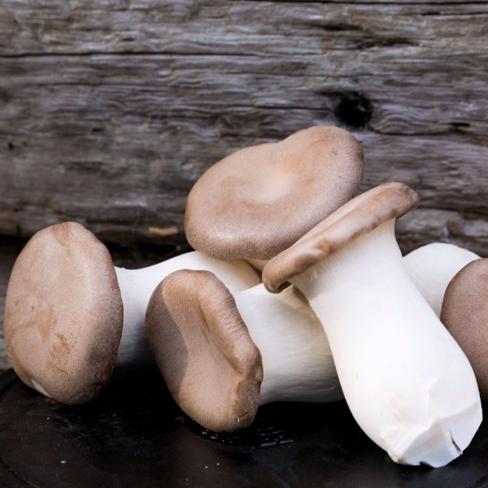 Eryngii (King Oyster) Mushrooms Fresh UK Delivery Smithy Mushrooms