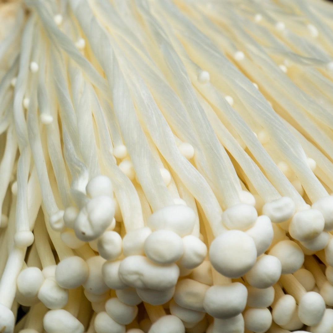 Enoki Mushroom (Enokitake) Next Day UK Delivery Smithy Mushrooms