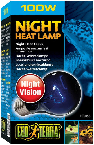 night heat lamp exo terra