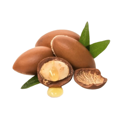 A Portion Of Brown Argan Nuts Alongside A Half Creamy Nut & Green Leaves