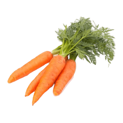 Orange Carrots With Green Leaf Tops On White Background