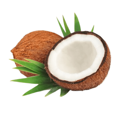 Coconut In Half On White Background