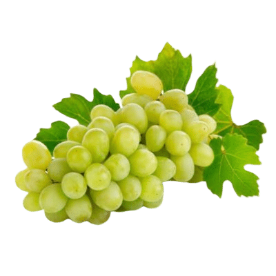 Beautiful Plump Green Grapes With Grape Leaves On White Background