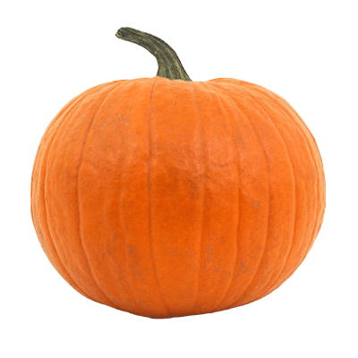 Large Bright Orange Pumkin With Stalk On Top